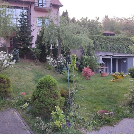 Apartment Sven Zagrzeb Zewnętrze zdjęcie